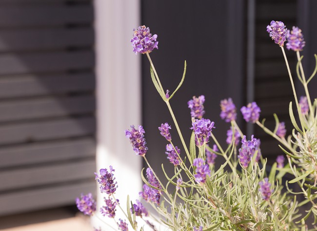 Perfectly situated to enjoy everything Lymington has to offer