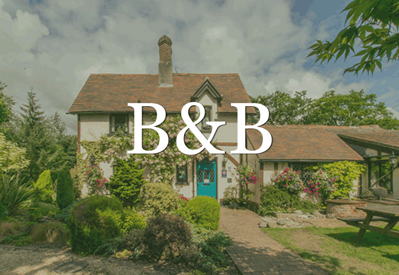 New Forest Bed & Breakfasts