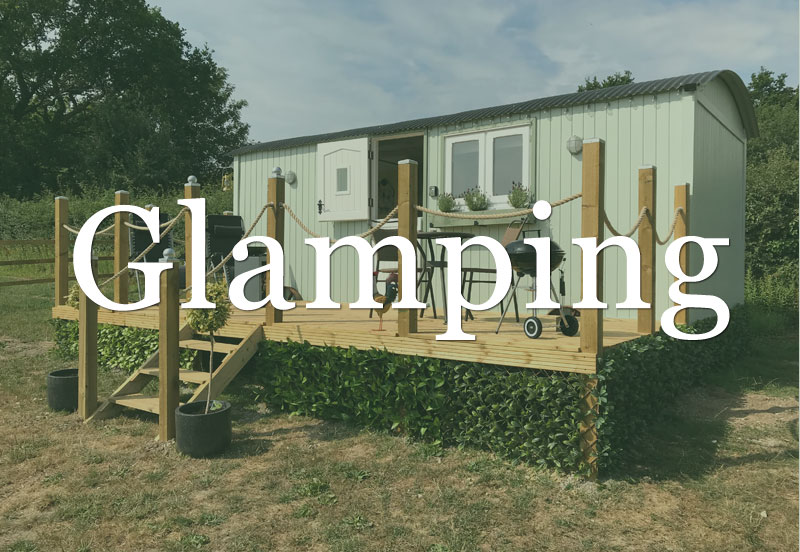 New Forest Glamping