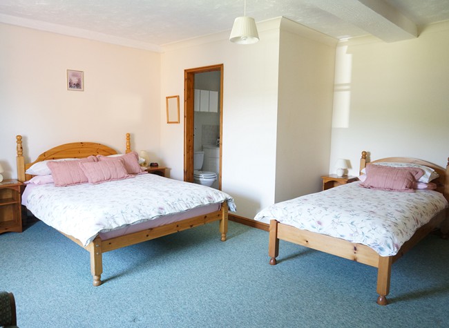 Room 2 - family room