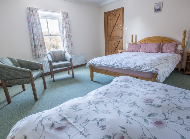 Room 2 - triple room