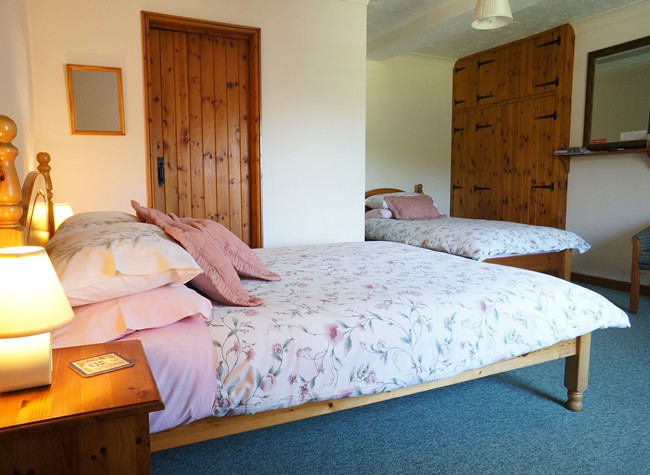 Room 2 - twin room