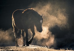 Breathing Cold Air, by Matt Roseveare