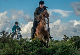 New forest Pony Riding, by Matt Roseveare