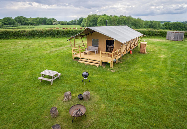 Romantic glamping in the New Forest